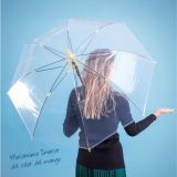 Paraguas Antiviento Transparente Modelo