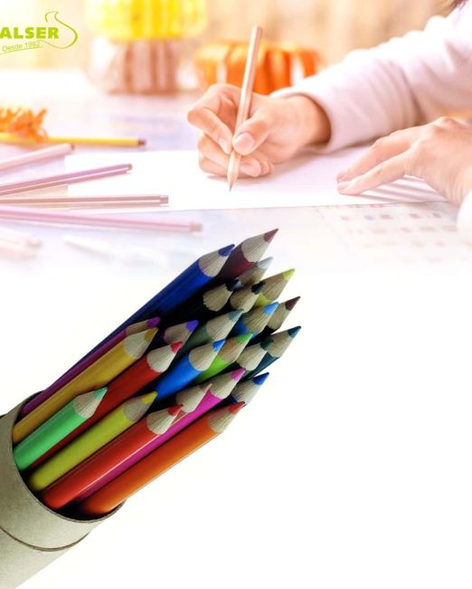 Estuche de 24 lápices de colores