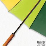 Paraguas Multicolor detalle mango